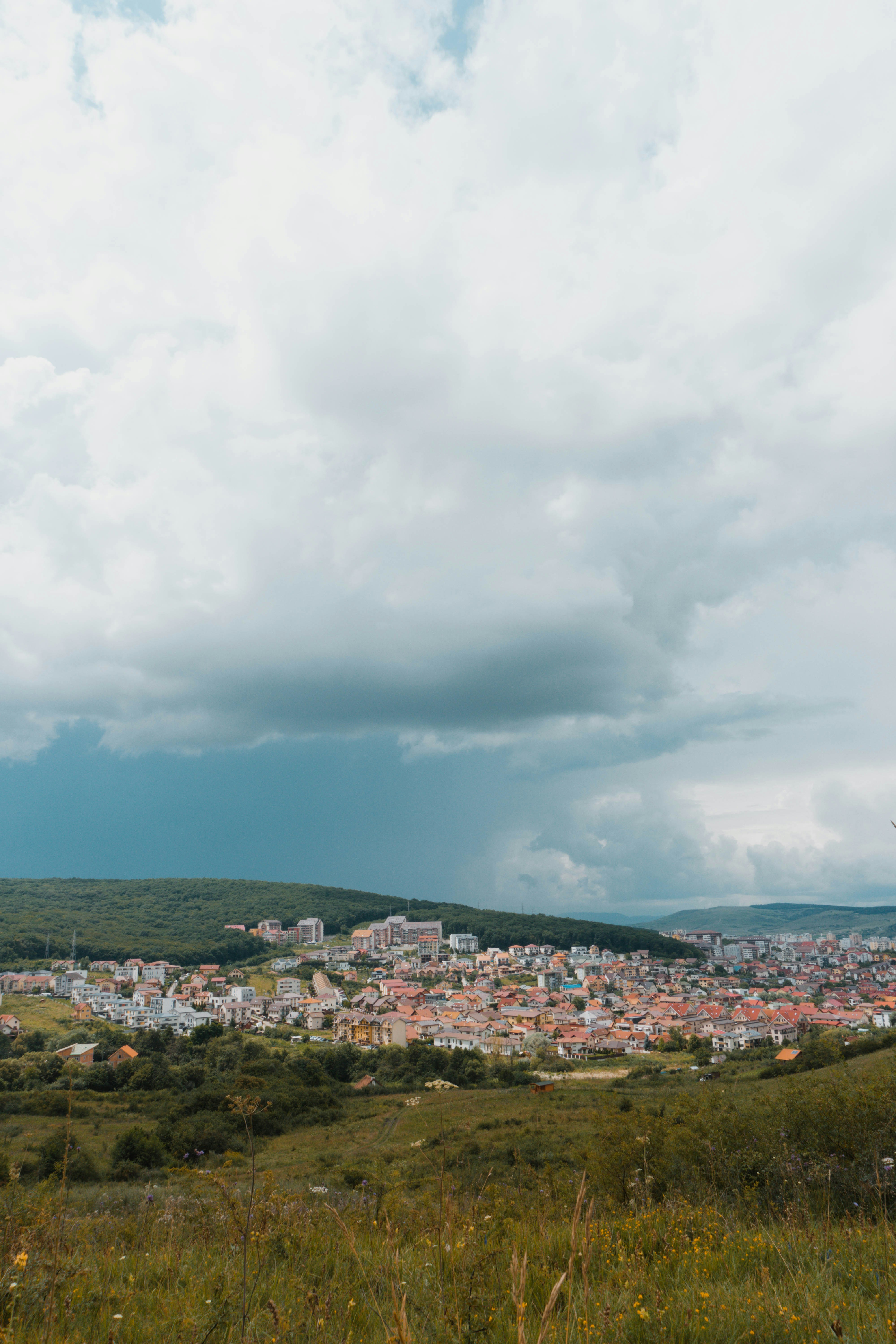 Photo by andreeapop_