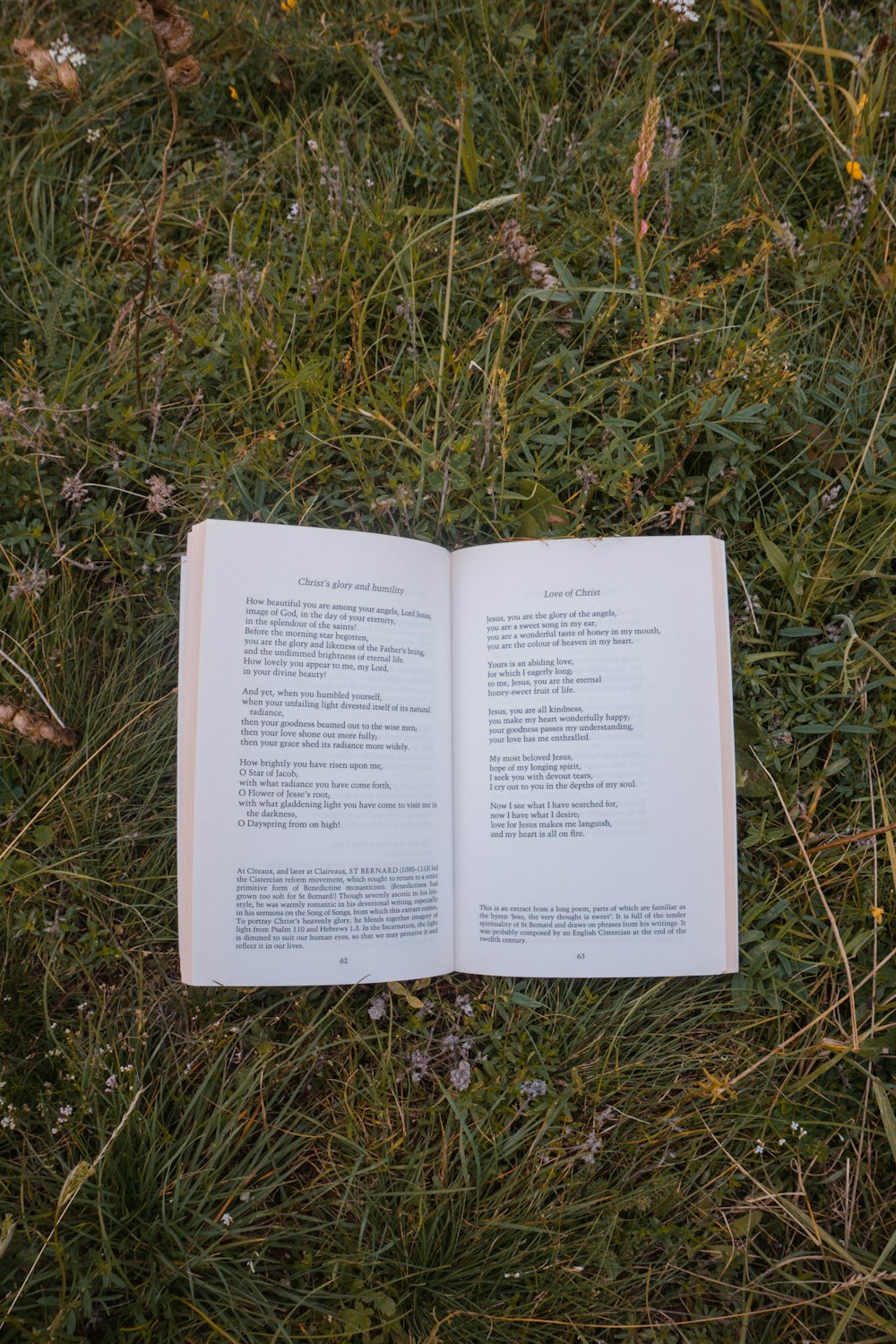 white book page on green grass