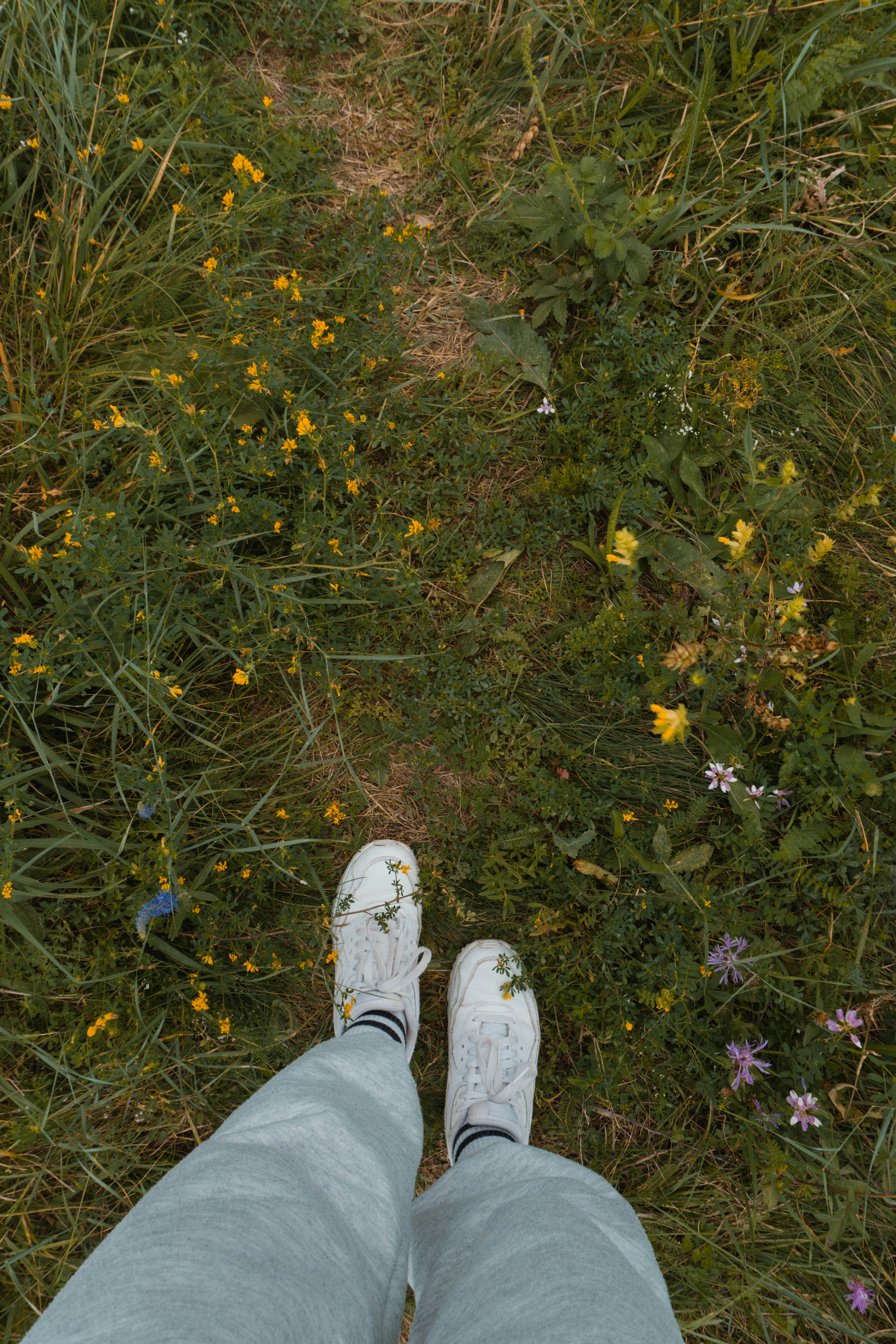 Photo by andreeapop_