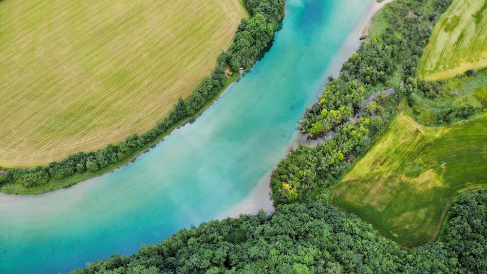 vista aérea de árvores verdes e corpo de água