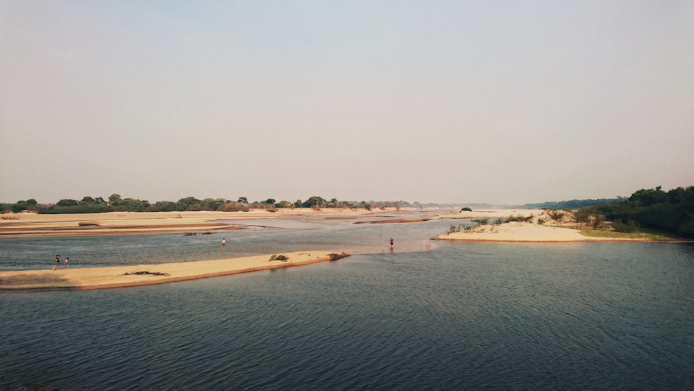 people on beach during daytime