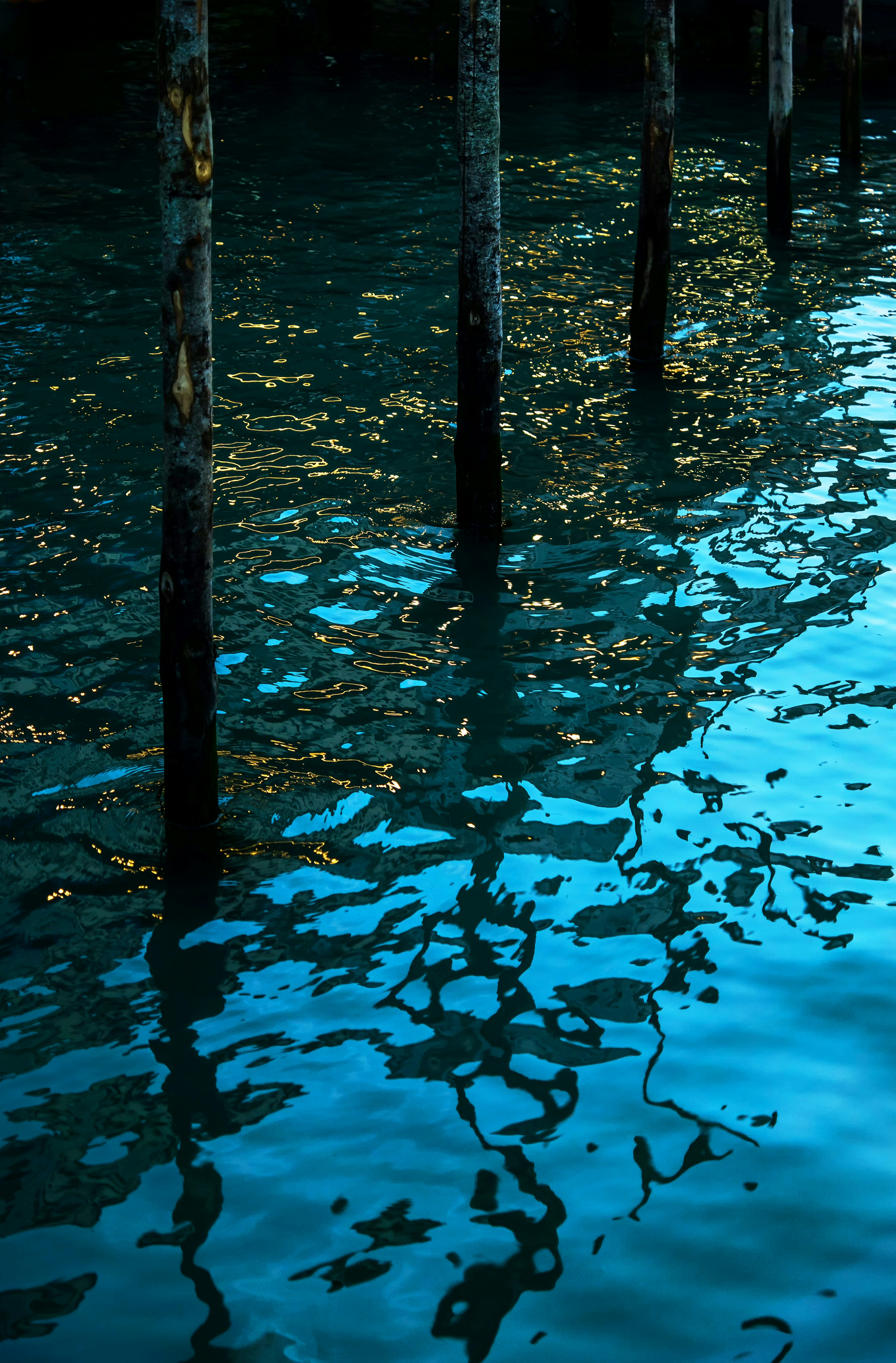 black wooden post on water