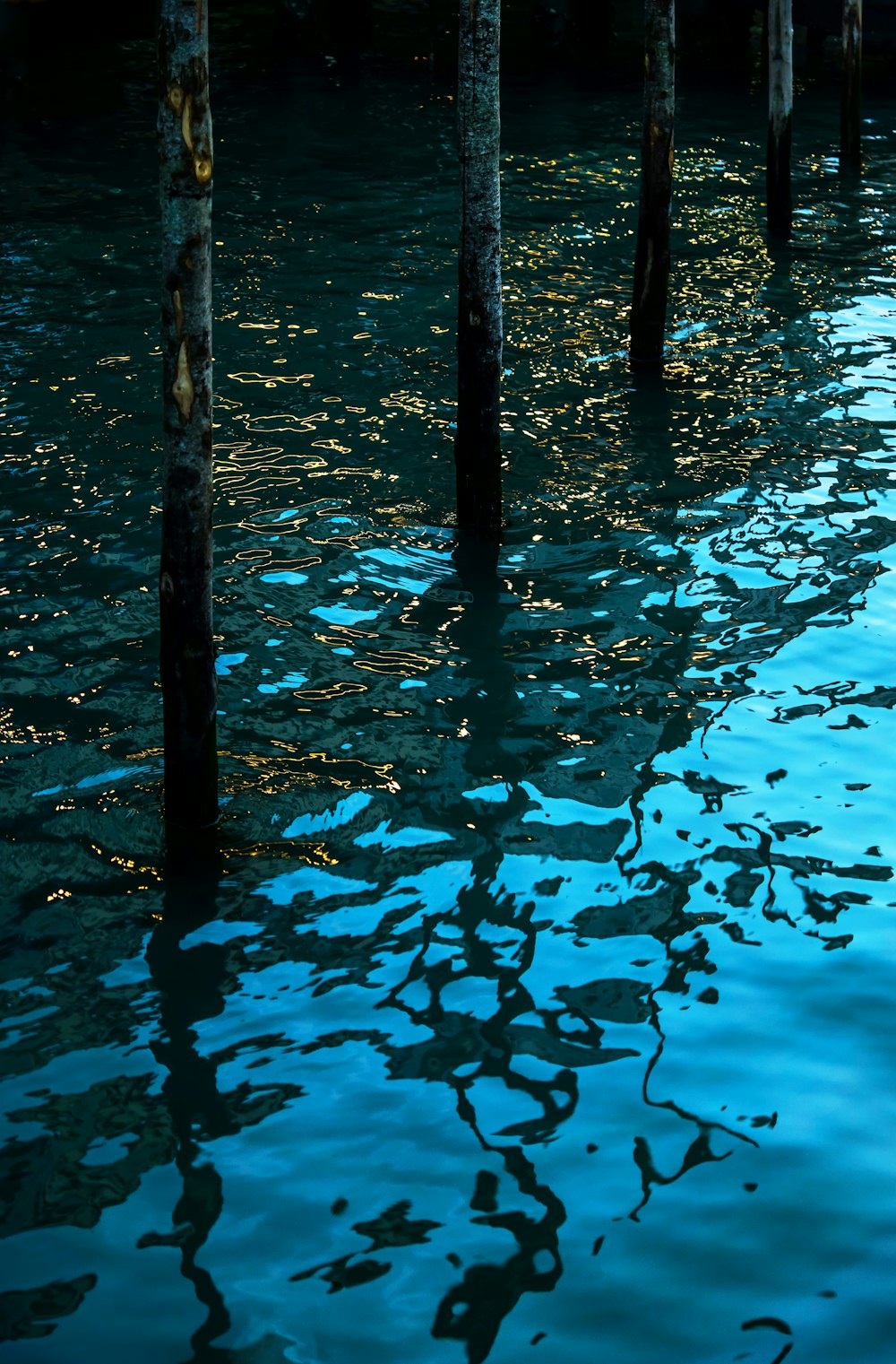 black wooden post on water