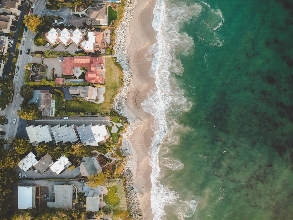 aerial view of city buildings near body of water during daytime