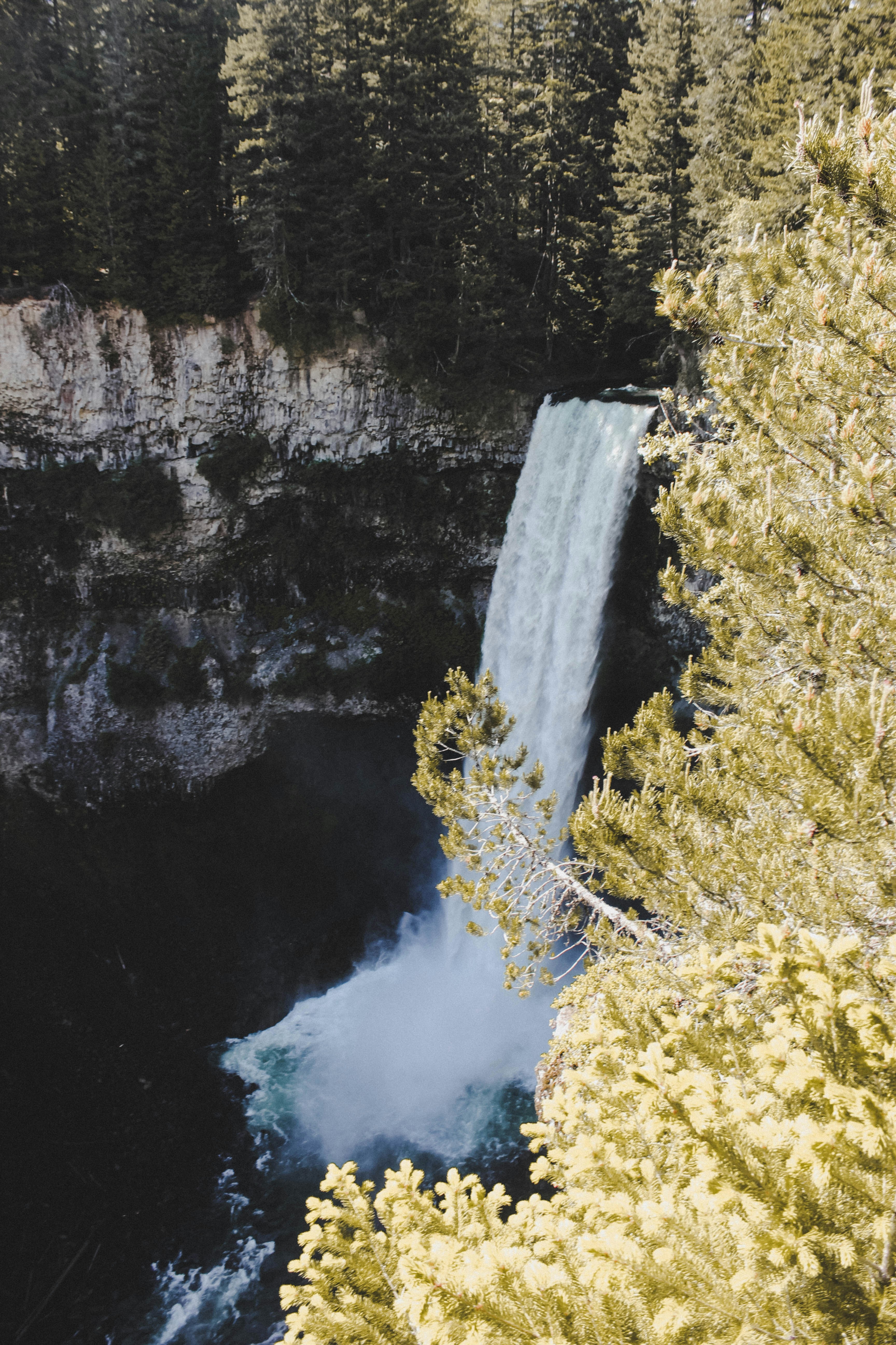 Photo by timowielink