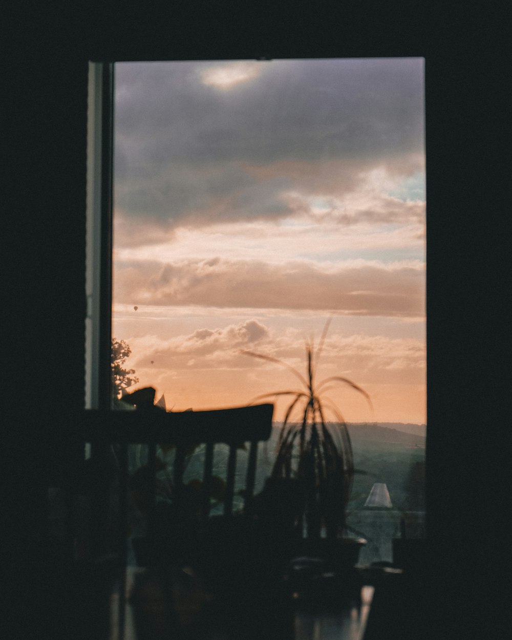 silhouette of trees during sunset