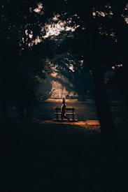 A silhouette of a person sitting on a bench, surrounded by dark trees and foliage, with a softly lit background that suggests a tranquil, natural setting. The interplay of light and shadow creates a peaceful and contemplative atmosphere.