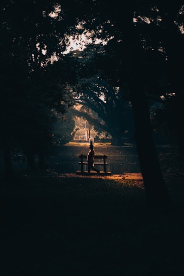 A silhouette of a person sitting on a bench, surrounded by dark trees and foliage, with a softly lit background that suggests a tranquil, natural setting. The interplay of light and shadow creates a peaceful and contemplative atmosphere.