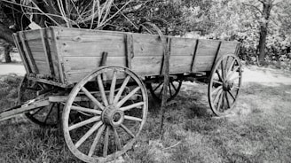A vintage wooden wagon with spoked wheels stands outdoors, surrounded by grass and partially shaded by trees. The wagon appears weathered and rustic, evoking a sense of history and tradition.