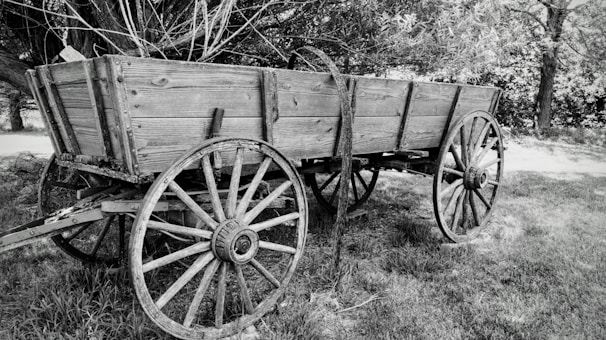 A vintage wooden wagon with spoked wheels stands outdoors, surrounded by grass and partially shaded by trees. The wagon appears weathered and rustic, evoking a sense of history and tradition.