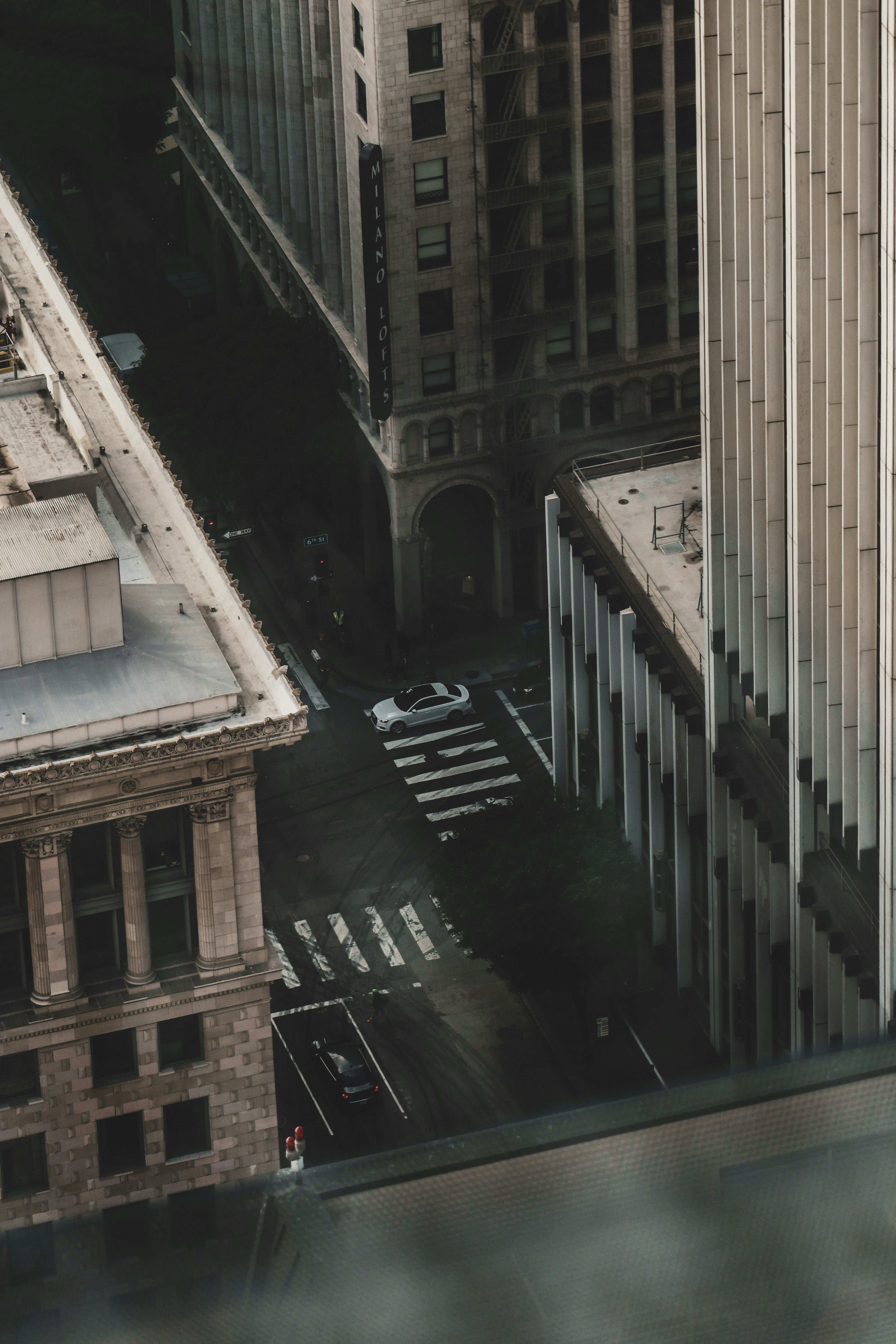 Photo by greysonjoralemon