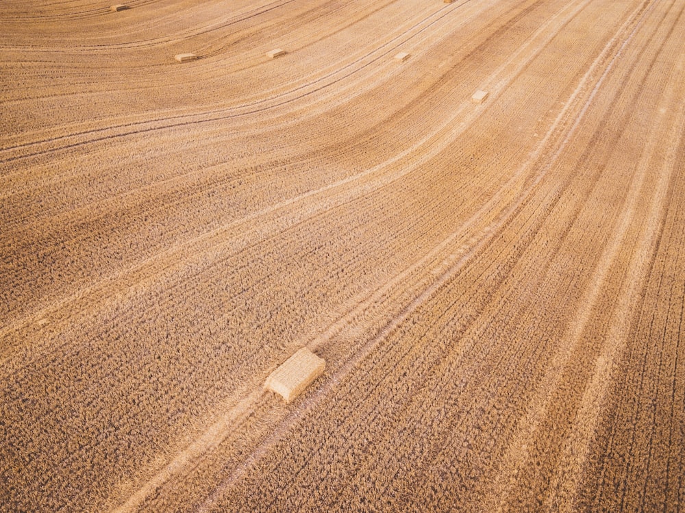 brown and white area rug