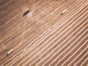 Aerial view of agricultural fields with distinct parallel lines indicating harvested areas. Two vehicles are present, possibly farm equipment, casting shadows on the textured landscape.