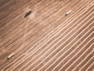 Aerial view of agricultural fields with distinct parallel lines indicating harvested areas. Two vehicles are present, possibly farm equipment, casting shadows on the textured landscape.