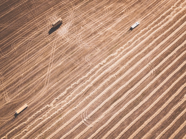 Aerial view of agricultural fields with distinct parallel lines indicating harvested areas. Two vehicles are present, possibly farm equipment, casting shadows on the textured landscape.