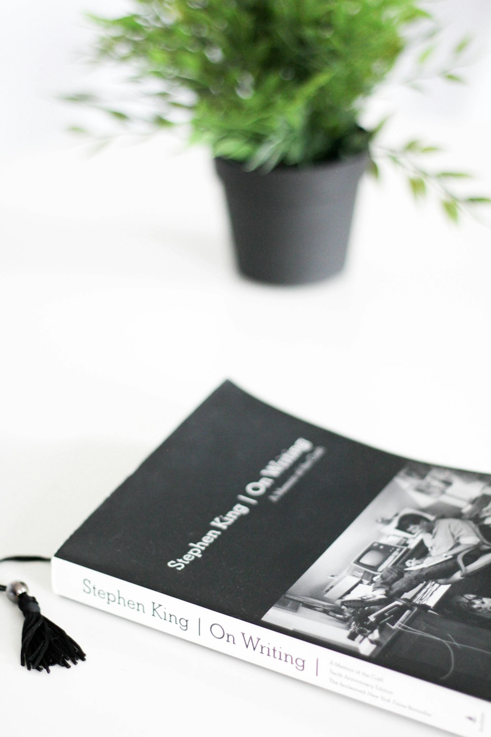 black and white book beside green potted plant