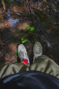 Olive-green anti-leech socks pulled high above the knee with wet leaves clinging, worn in a misty tropical jungle setting.