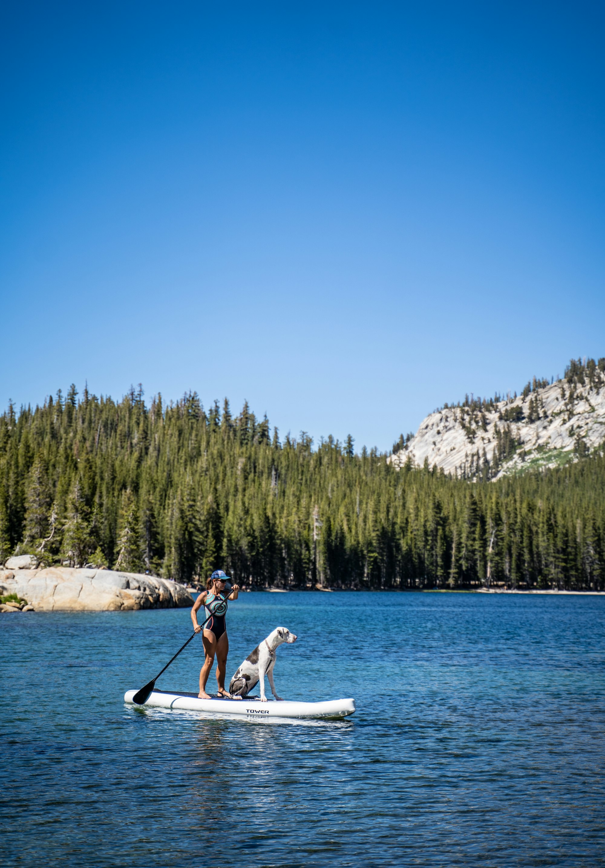 Paddle boarding with a dog.