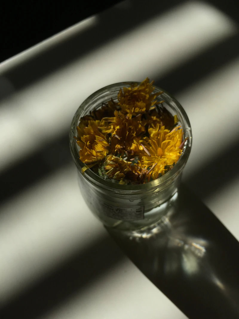 Natural ingredient sourcing for clean beauty products