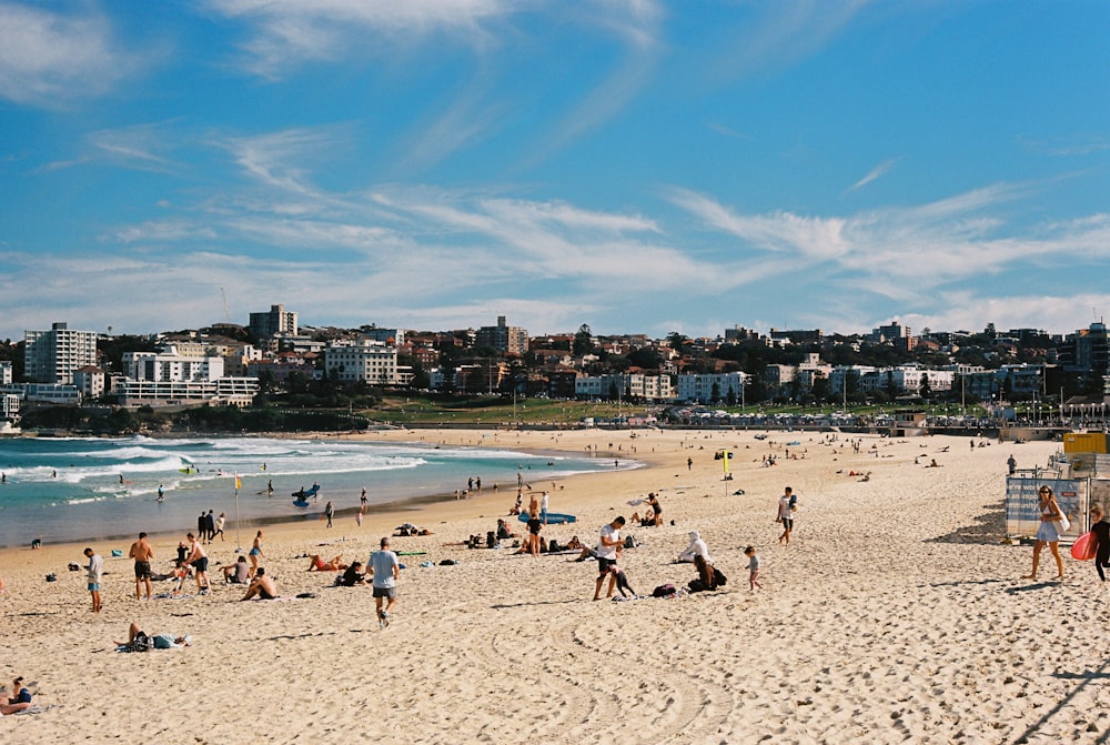 people on beach during daytime