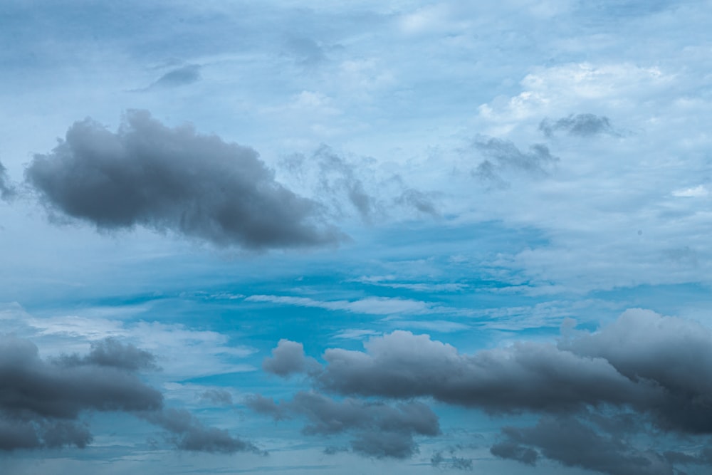 white clouds and blue sky