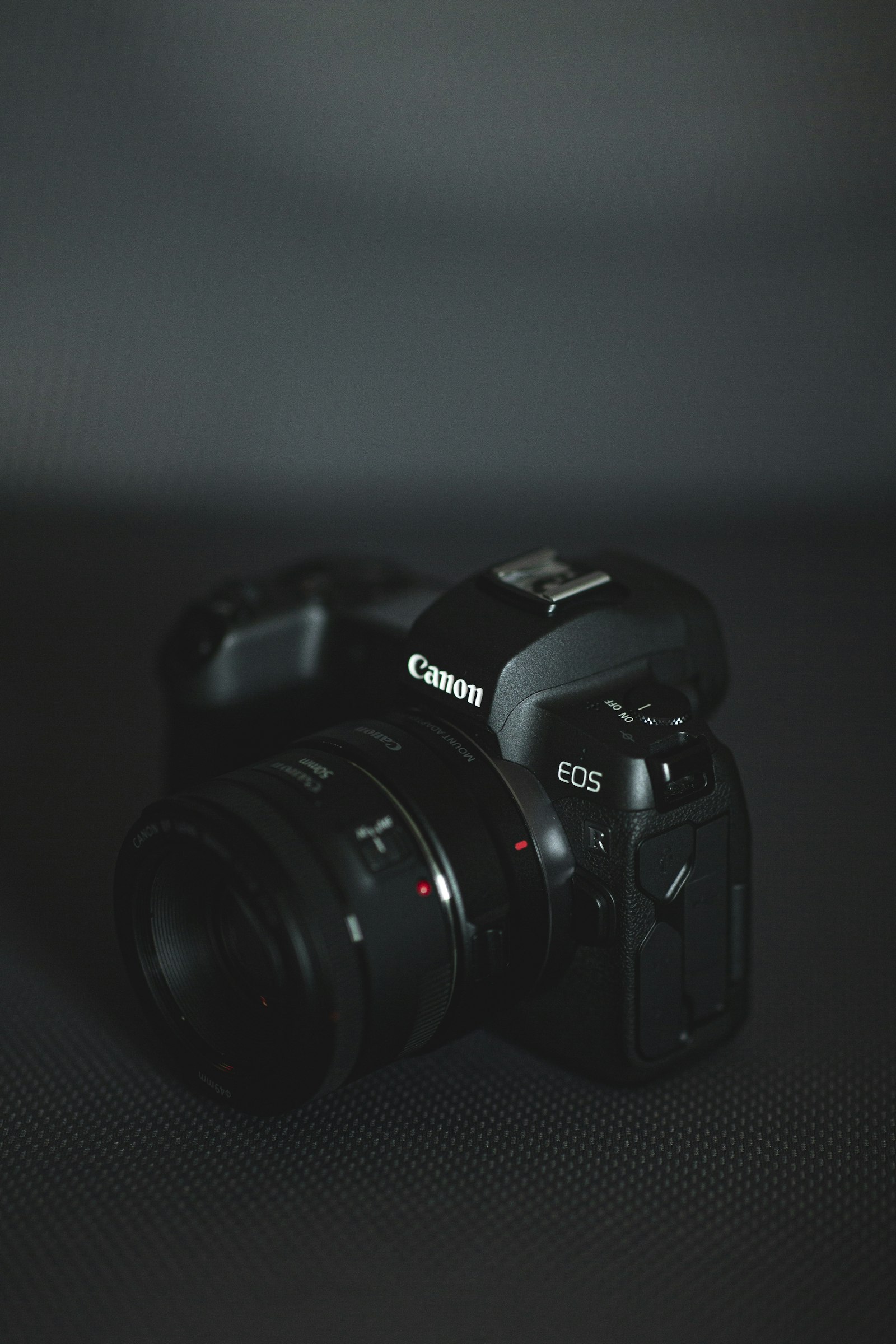 Canon EF 85mm F1.4L IS USM sample photo. Black nikon dslr camera photography