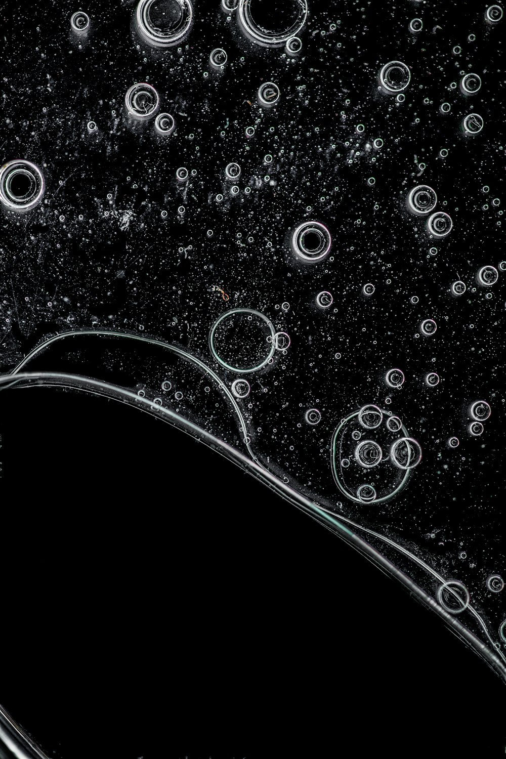 1000+ Bubbles Background Pictures | Download Free Images on Unsplash