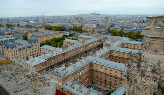 aerial view of city buildings during daytime in Cathédrale Notre-Dame de Paris France