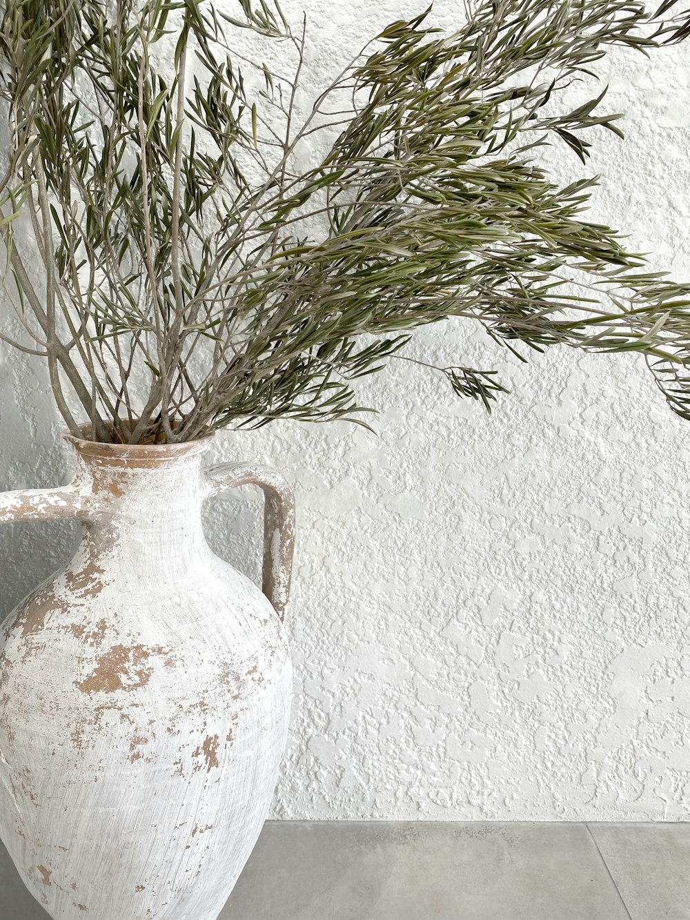 planta verde no vaso de cerâmica branco
