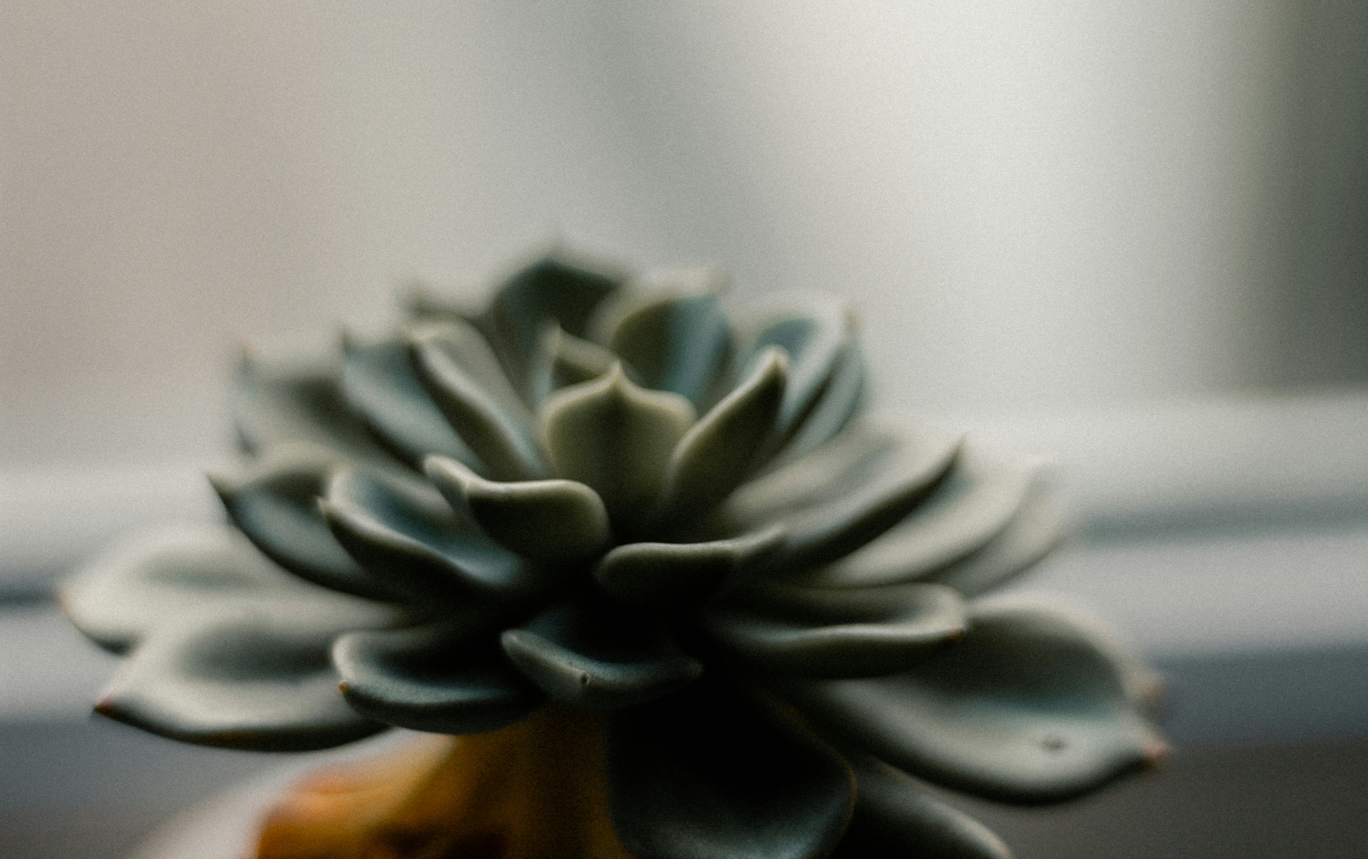 Photo by sleenvasquez