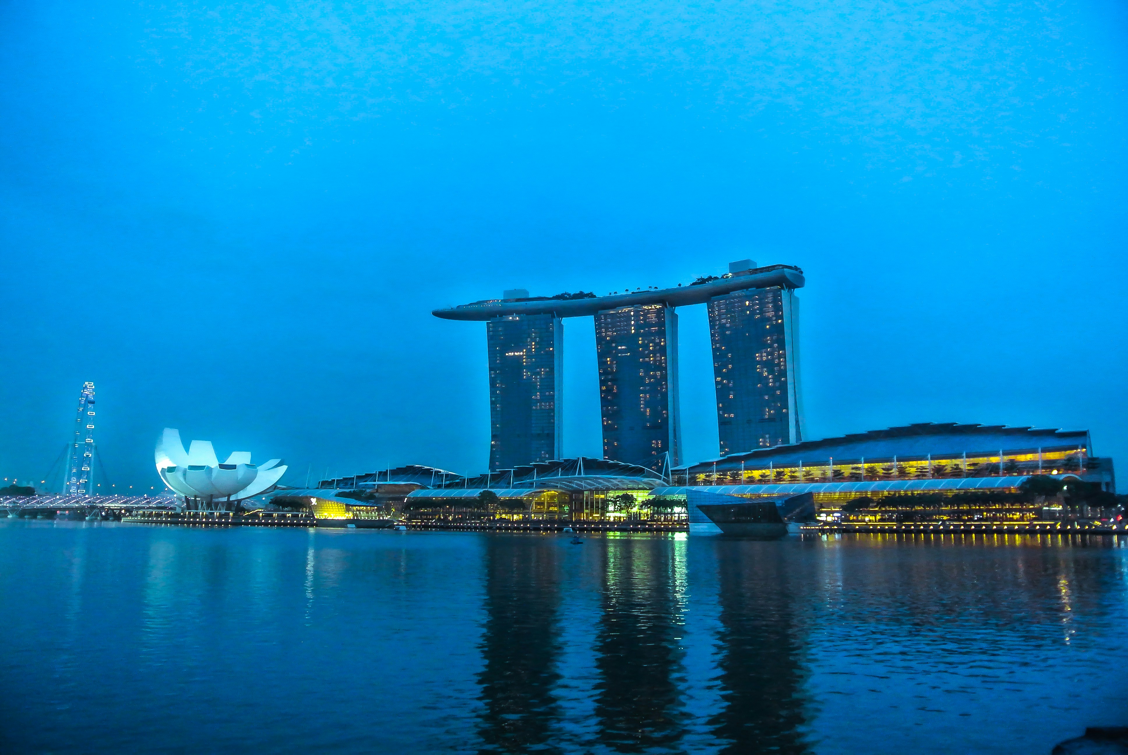 Photo by josephineslin