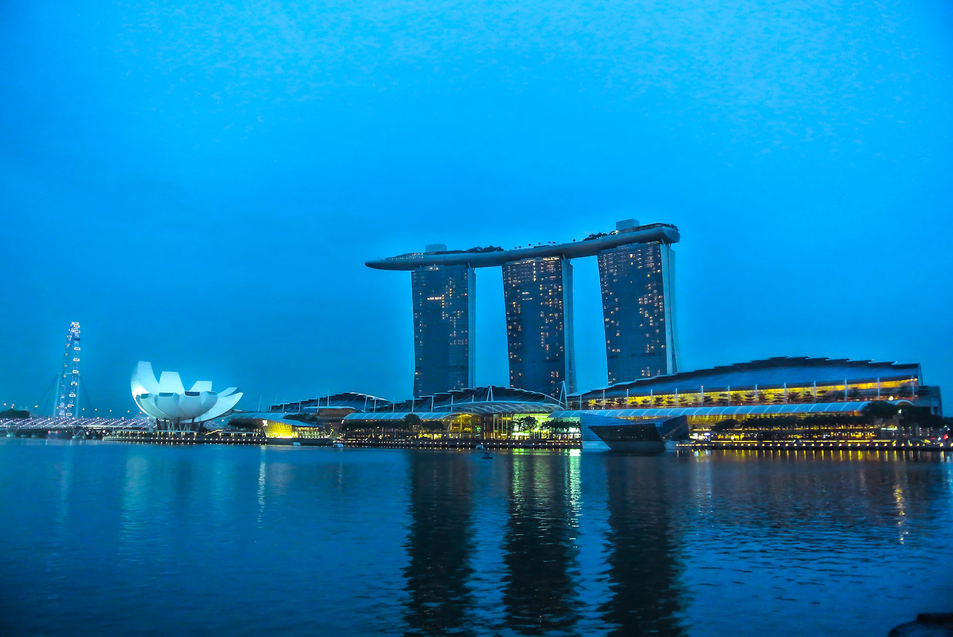 white boat on sea near bridge during daytime