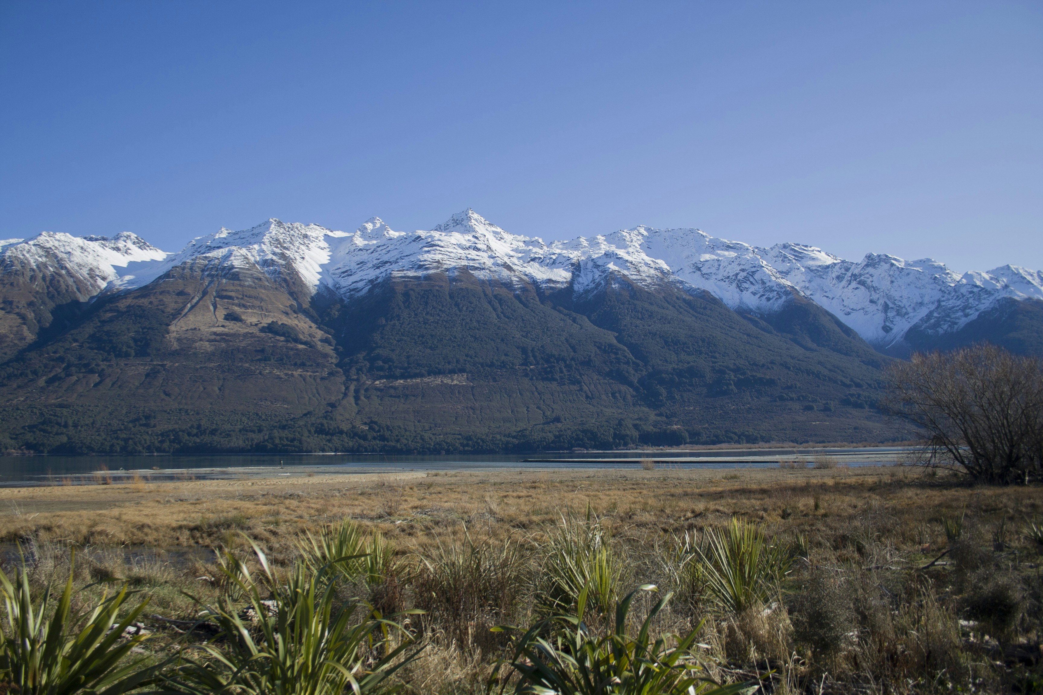 Photo by mathew_waters