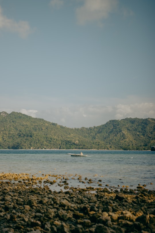 people on beach during daytime in Sipalay Philippines