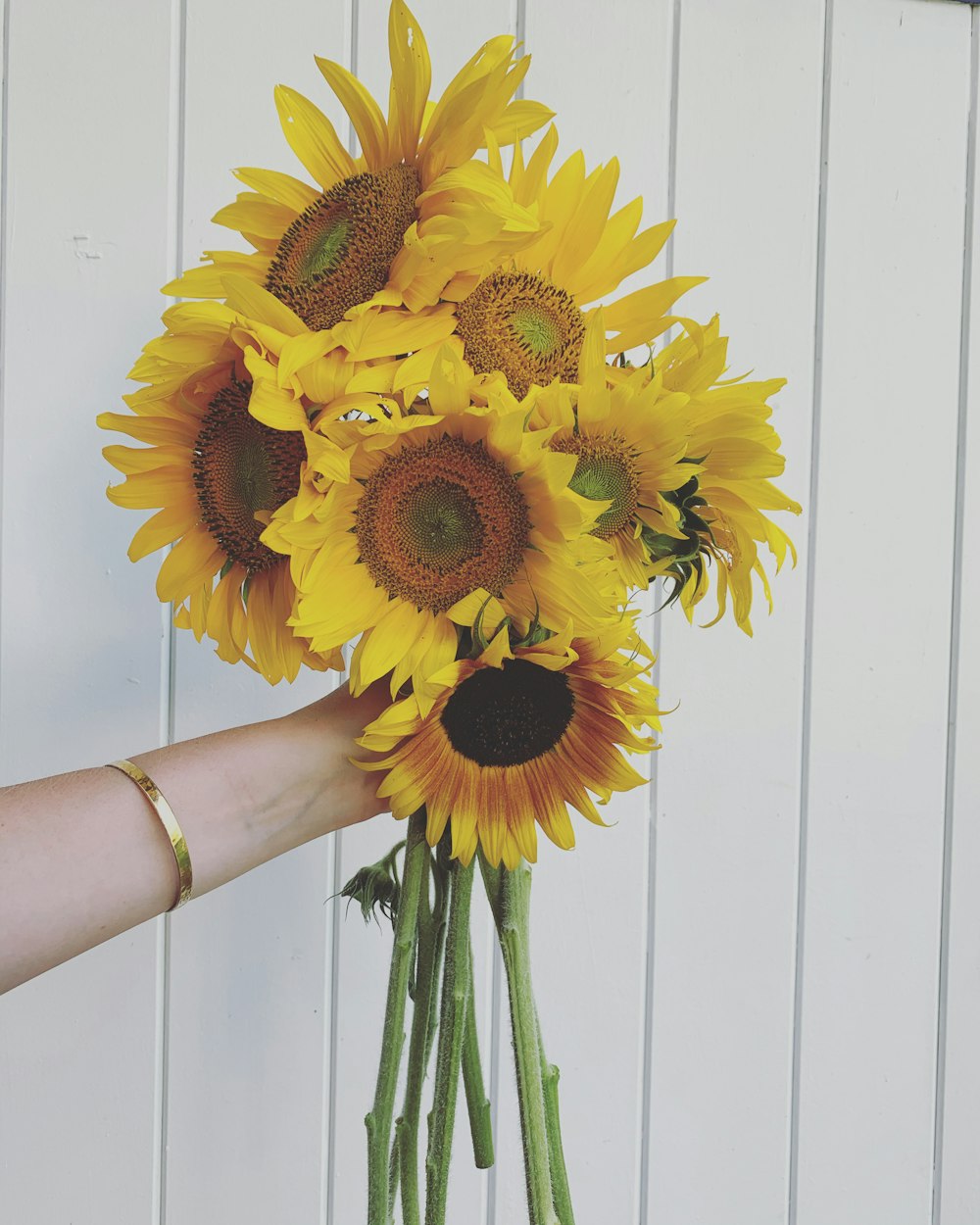 person holding sunflower bouquet in front of white wall