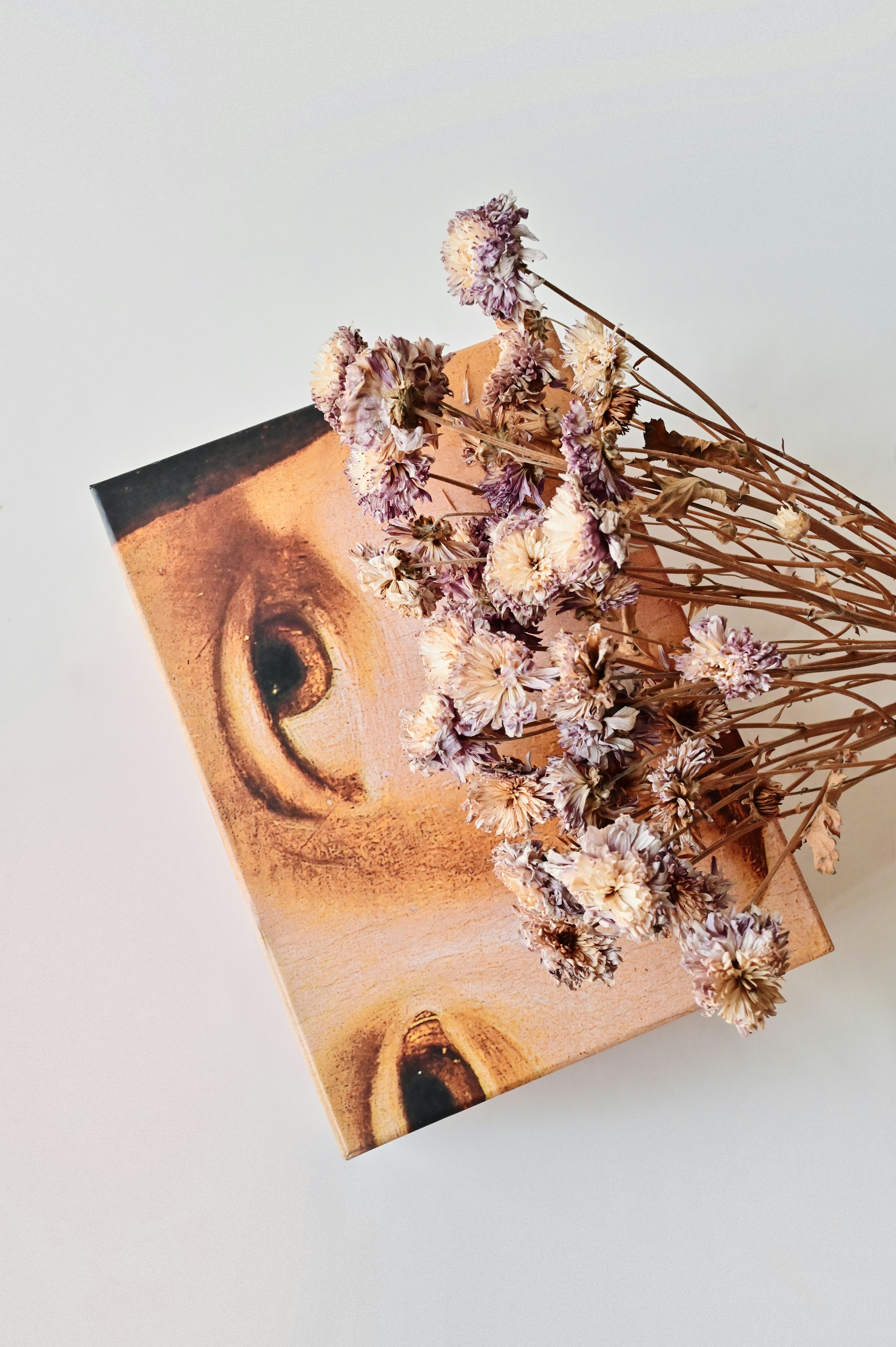 Muse Pictures Download Free Images On Unsplash