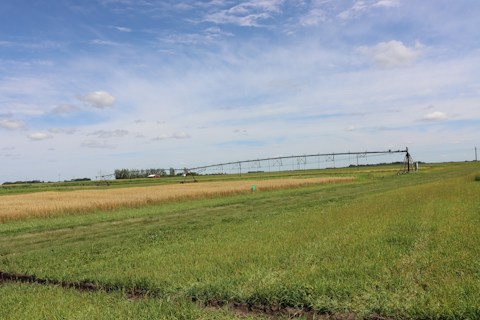 A vast agricultural field stretches out under a blue sky with a few scattered clouds. The landscape includes a grassy foreground, a section of golden wheat, and a green crop area. In the middle ground, a center pivot irrigation system extends horizontally across the farmland. The horizon is lined with trees and a small red-roofed structure is visible in the distance.