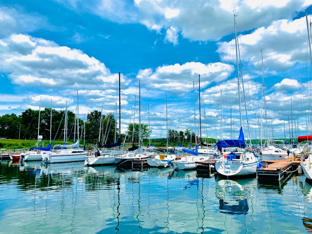 travelers stories about Dock in Stockton State Park Marina, United States