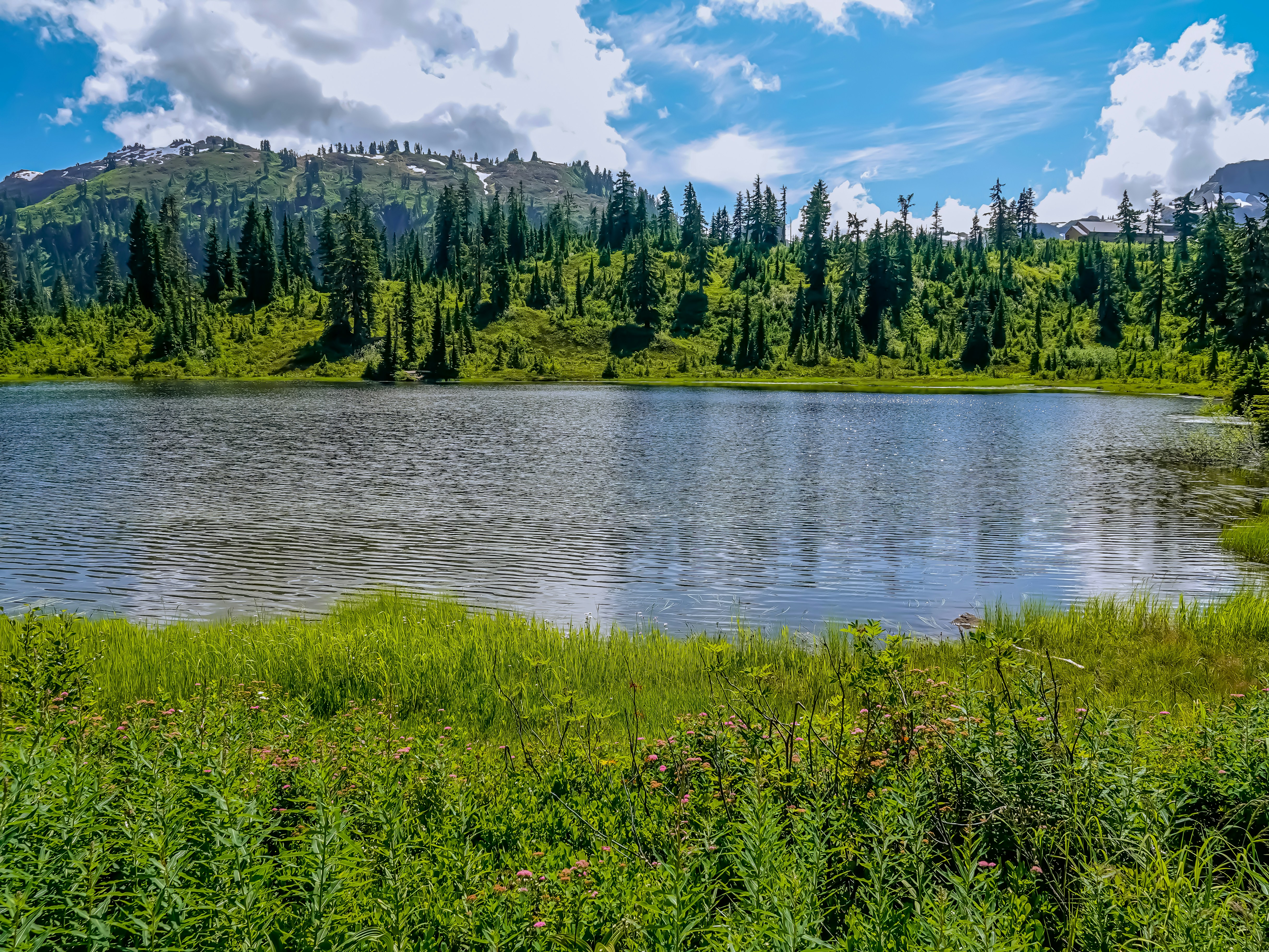 Photo by pavlpolo_official