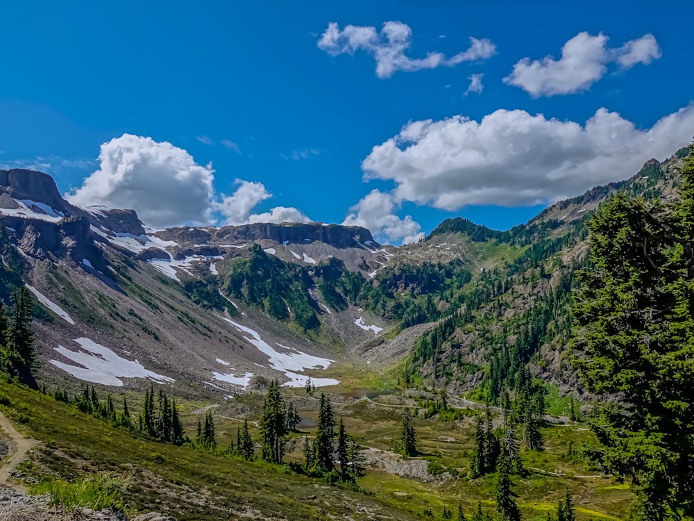 Grüne Bäume am Berg unter blauem Himmel tagsüber