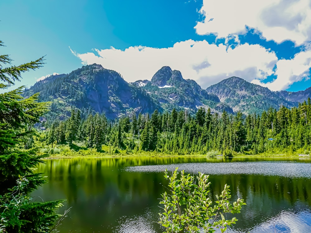 green trees near lake and mountain under blue sky during daytime