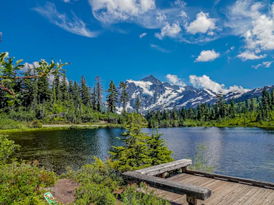green pine trees near lake under blue sky during daytime