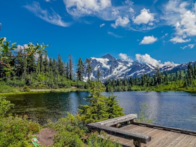 green pine trees near lake under blue sky during daytime