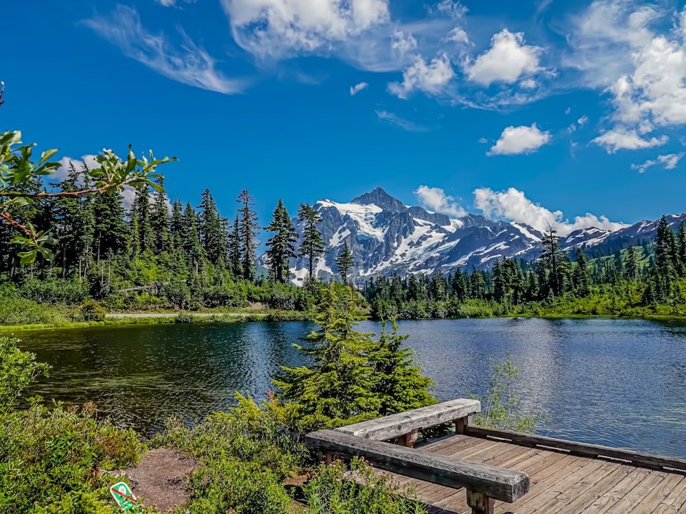 green pine trees near lake under blue sky during daytime