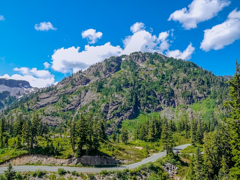 green trees on mountain under blue sky during daytime