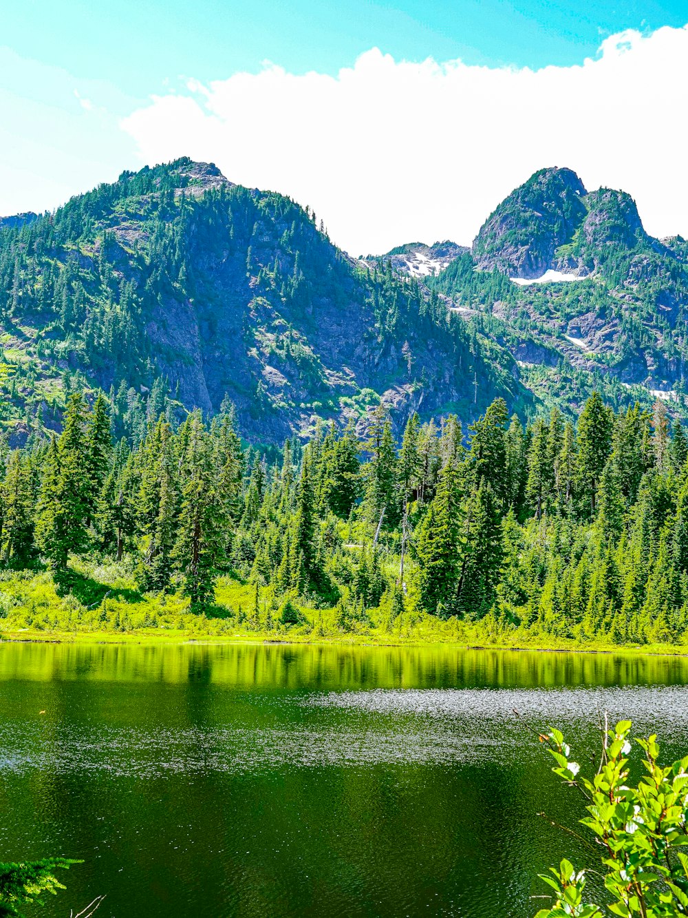 green trees near lake and mountain during daytime