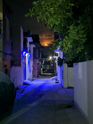 A moody shot of an empty alleyway at night, illuminated by soft street lamps with matte forest green accents.