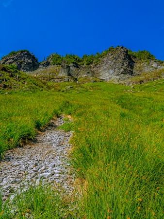 A rugged mountain landscape features steep rocky cliffs bordered by thick green vegetation. A narrow, rocky path winds through the vibrant grass leading up towards the mountain, set against a backdrop of a clear blue sky.