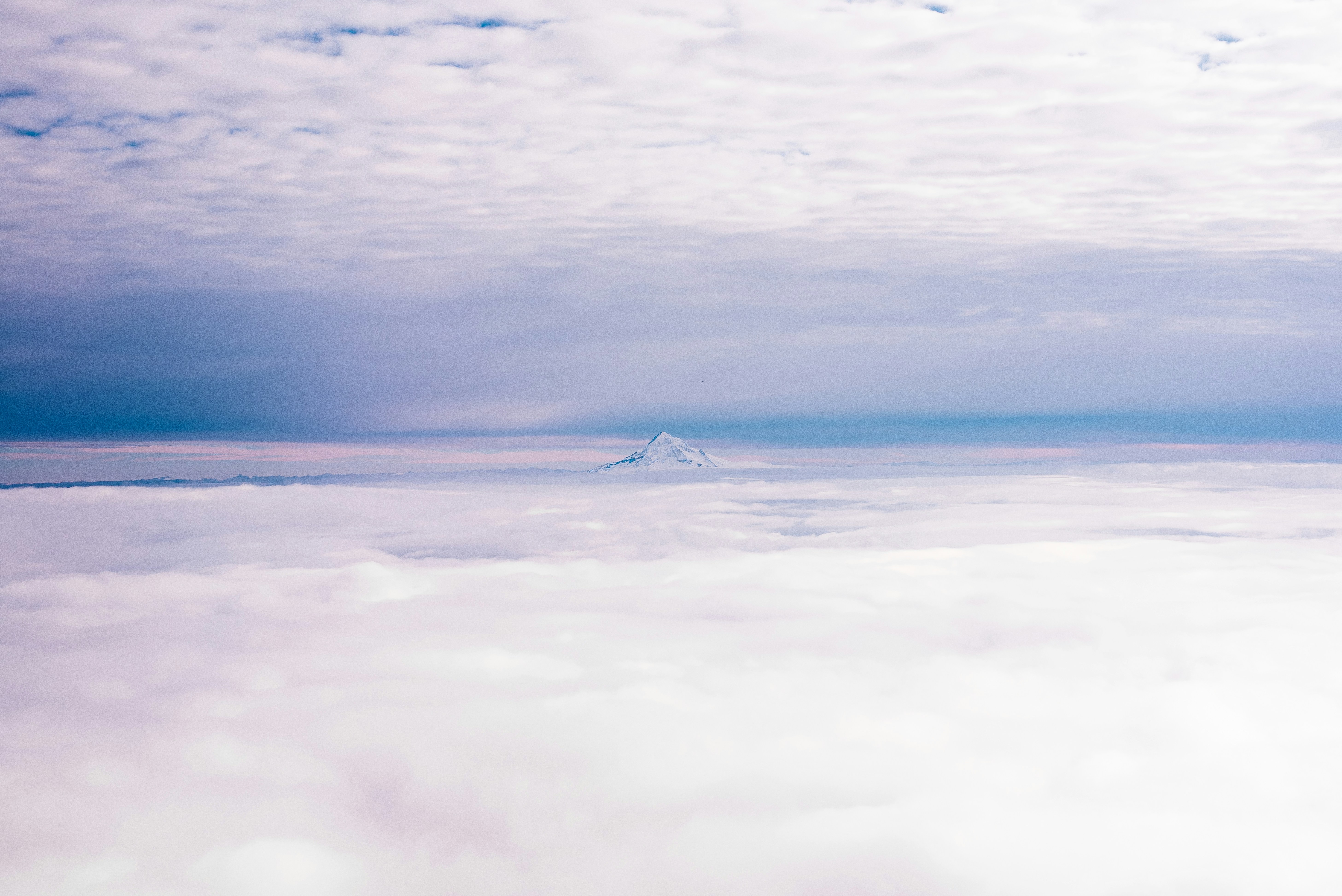 Photo by ryunosuke_kikuno