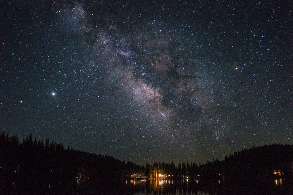 silhouette of trees under starry night